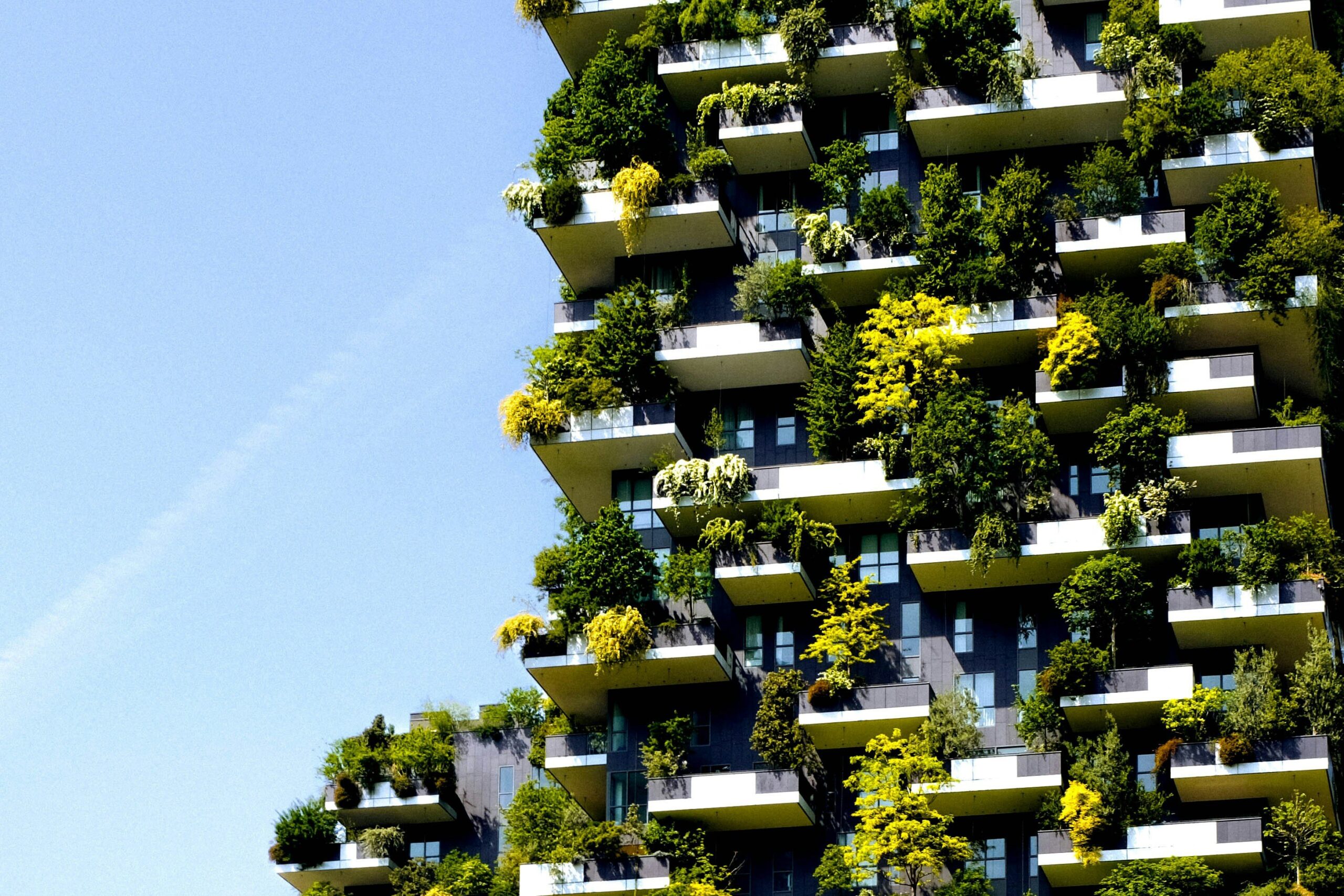 Fossil Sustainable Innovation: The Intersection of Tech, Fashion, and Eco-Consciousness