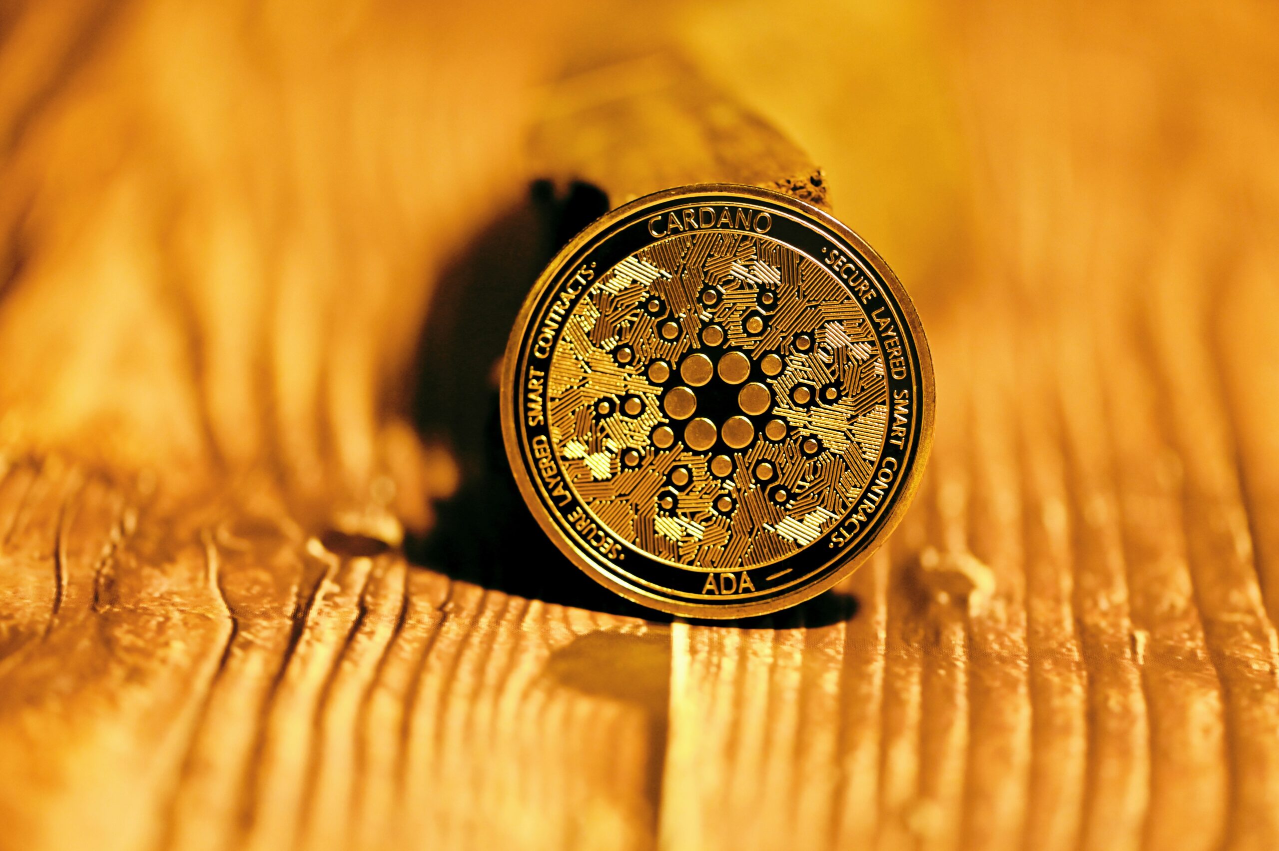 Photo of LuxuryTech’s gold alloy fashion watch launch event